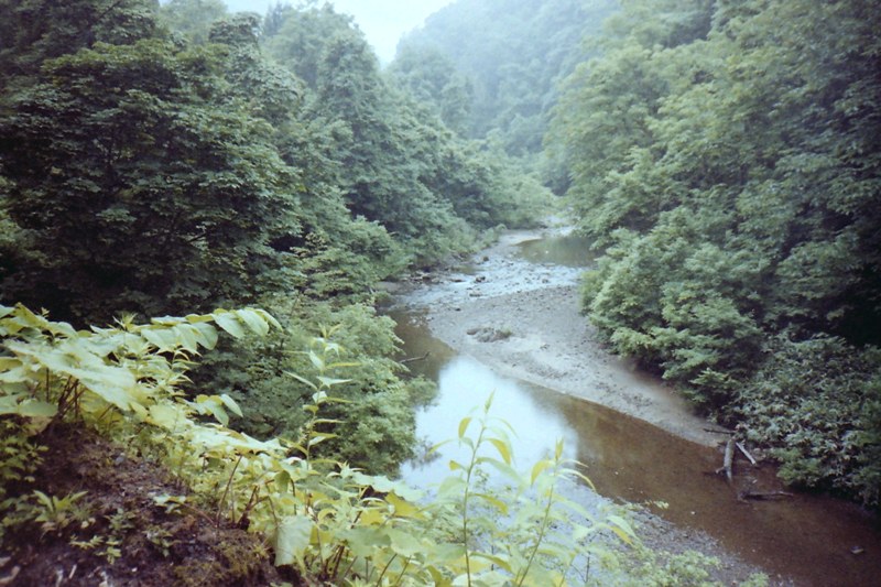 Downstream from the falls
